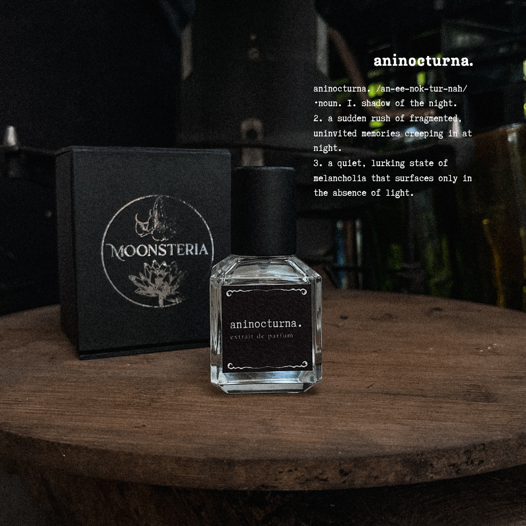 Aninocturna Extrait de Parfum by Moonsteria
