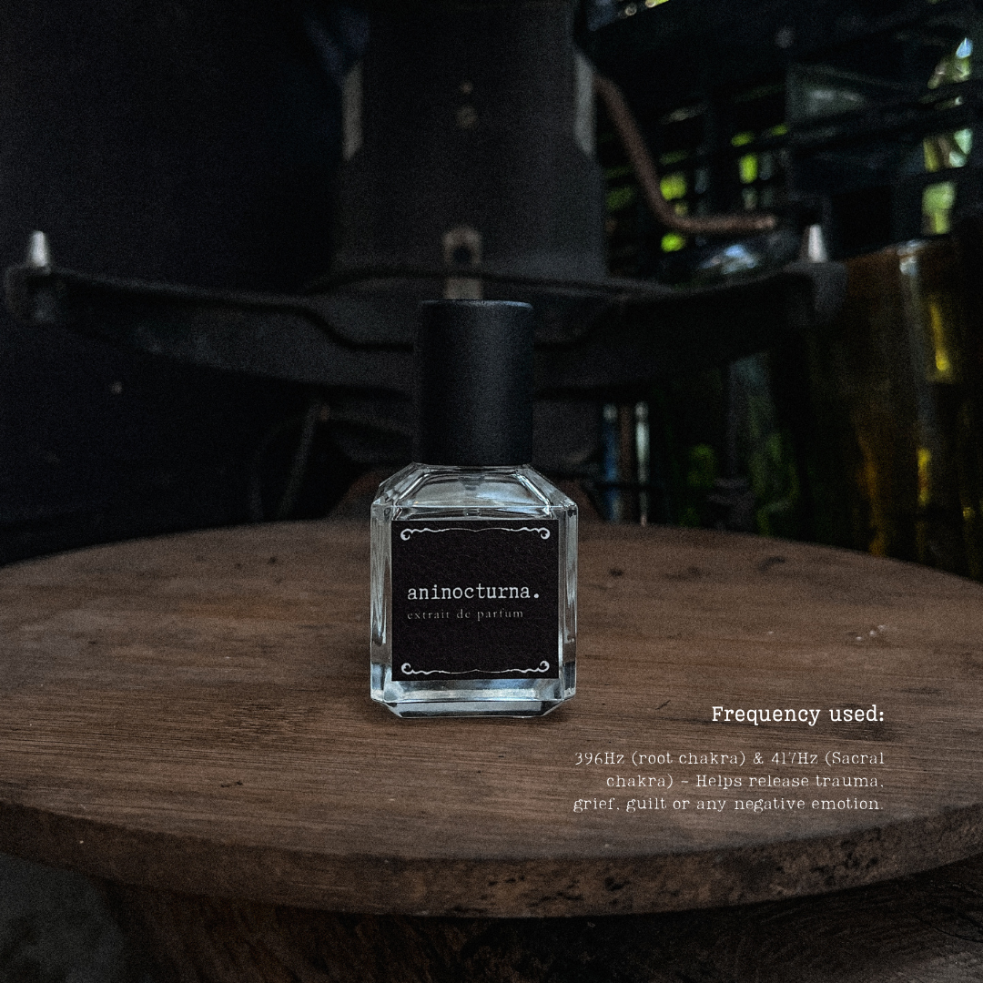 Aninocturna Extrait de Parfum by Moonsteria
