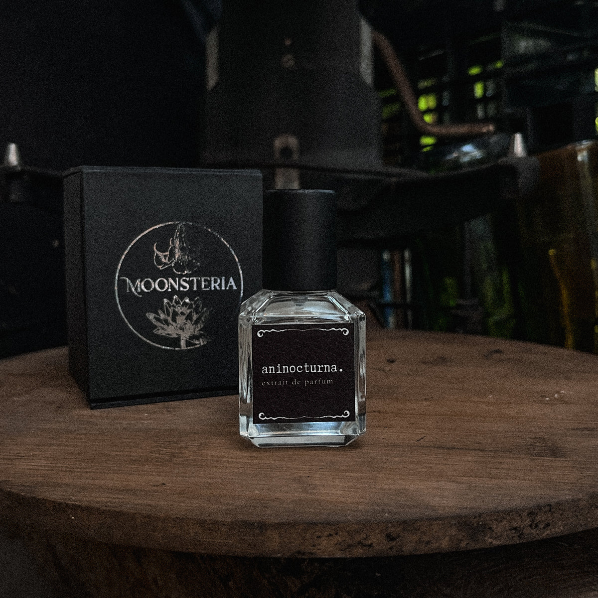 Aninocturna Extrait de Parfum by Moonsteria